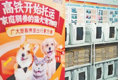 鐵路部門試點高鐵寵物托運服務 開啟寵物出行新篇章