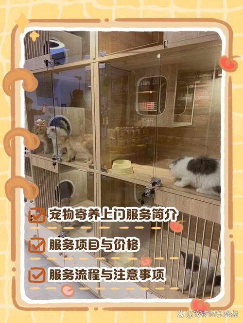 寵物寄養(yǎng)新趨勢(shì) 上門(mén)服務(wù)如何讓愛(ài)寵倍感安心