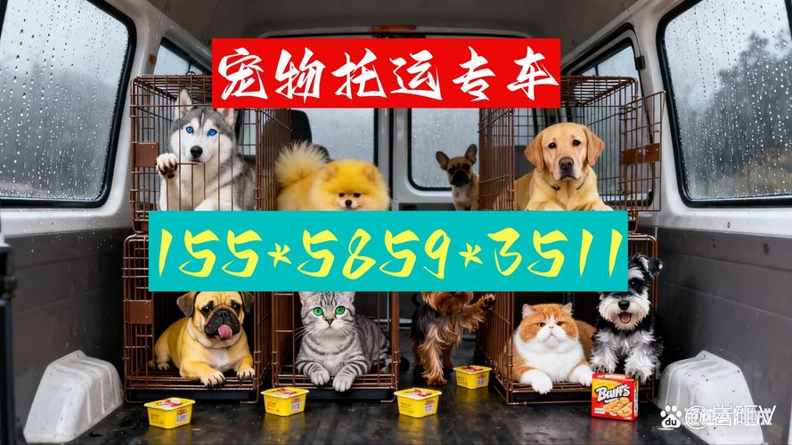 隨著越來(lái)越多家庭將寵物視為重要成員,安全,便捷的寵物托運(yùn)服務(wù)成為